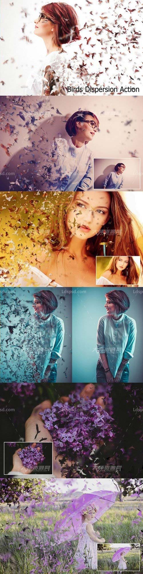 Birds Dispersion Action,极品PS动作－群鸟抽离